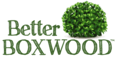 Better Boxwood logo