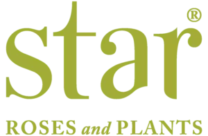 Star Roses & Plants logo